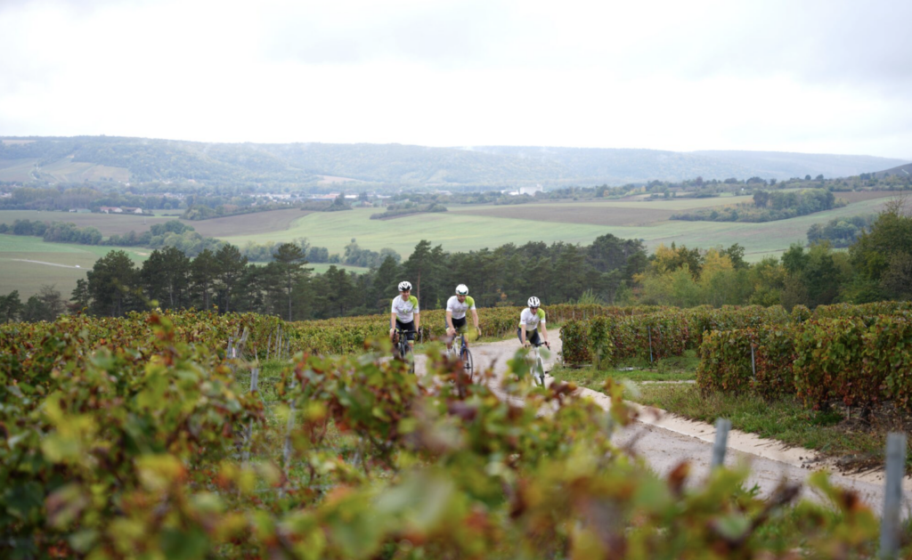 Bar-sur-Aube Chemins Blancs
