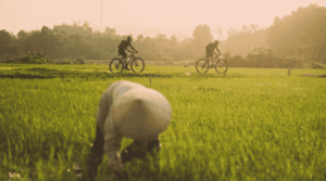 Couverture du documentaire vélo Blood Road