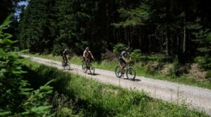 trois cyclistes en gravel dans une forêt